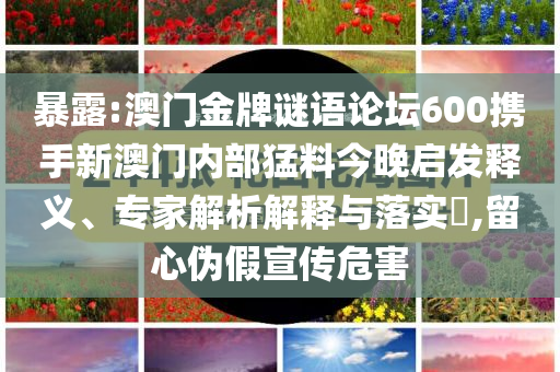 美國瞄上巴西稀土礦和遠(yuǎn)離虛假幌子-個人釋義、專家解析解釋與落實(shí)?