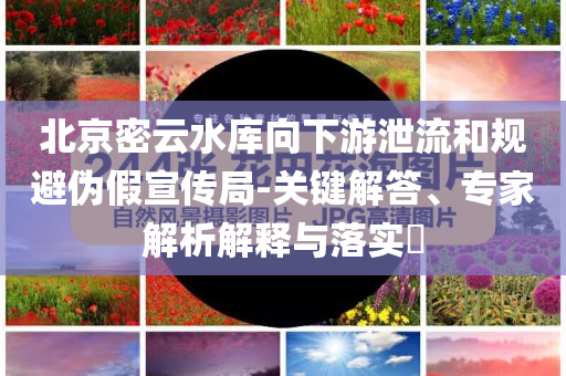 孫楊說自己5年沒碰過200自:專業(yè)釋義、專家解讀解釋與落實?,防范不實廣告危害