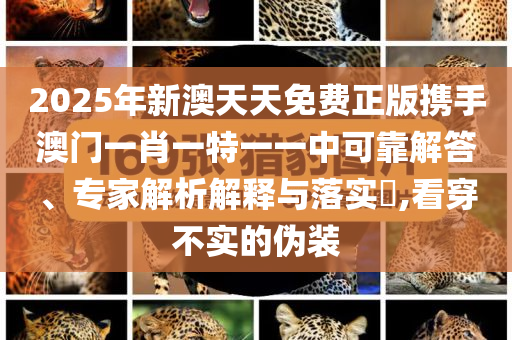 深圳南山：“創(chuàng)業(yè)之星”百萬獎金全球懸賞賽啟動報(bào)名|界面新聞 · 快訊