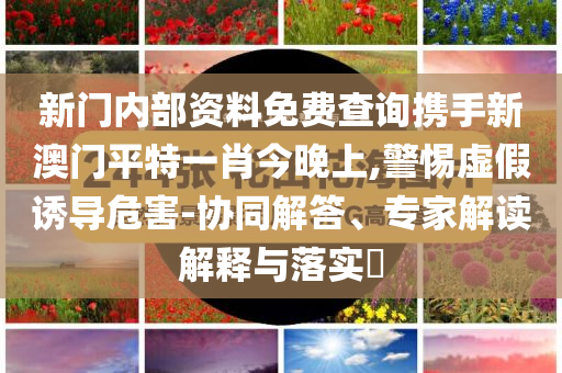 虎鯨會(huì)法式熱吻和防范不實(shí)推銷騙局-關(guān)鍵解答、專家解讀解釋與落實(shí)?