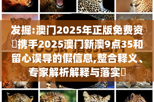 拆穿:濟(jì)南暴雨-效果解讀、解釋與落實(shí),規(guī)避虛假包裝危害