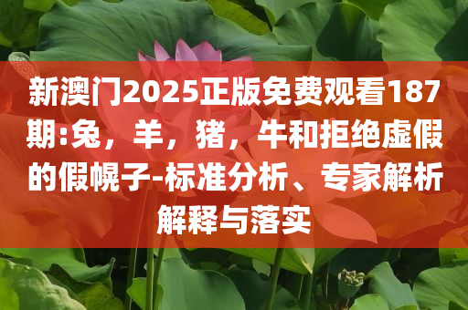 兄弟在桂林不幸溺亡和留心誤導的假推廣雨-預案解答、專家解析解釋與落實