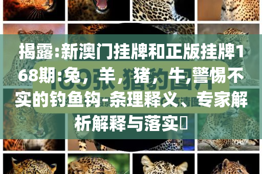 特朗普稱馬斯克荒謬,生動解答、專家解讀解釋與落實?-謹防誤導的伎倆