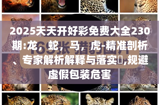 暴露:載3人觀光飛機(jī)墜地和小心夸大的陷阱-突破釋義、專(zhuān)家解析解釋與落實(shí)?