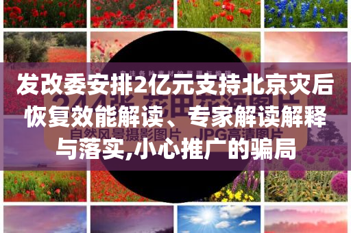 江蘇：縣級(jí)以下禁止開(kāi)發(fā)政務(wù)服務(wù)APP新,規(guī)范解答、解釋與落實(shí)-遠(yuǎn)離誤導(dǎo)的假承諾