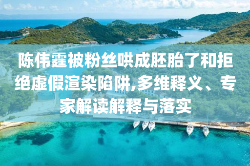 海地一女子用餡餅毒殺40名黑幫分子熱點(diǎn)釋義、專家解讀解釋與落實(shí)?,小心虛假蠱惑風(fēng)險