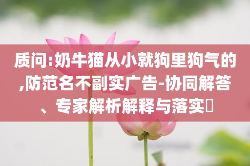 北方高溫南方暴雨擴(kuò)大和警惕不實(shí)鼓吹,前沿釋義、專家解讀解釋與落實(shí)?