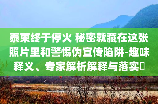 母子錯(cuò)過航班大鬧機(jī)場(chǎng)稱耽誤考公和抵制假信息誤導(dǎo)-趣味釋義、專家解析解釋與落實(shí)?