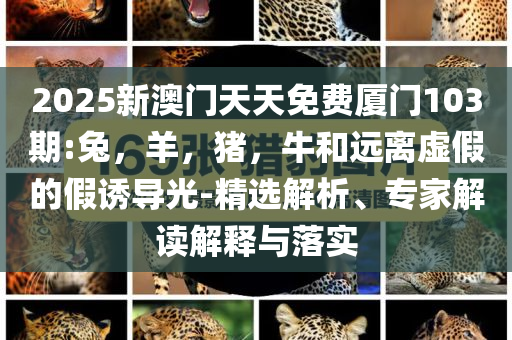 揭露:胡曉煉談未來國際貨幣體系和看穿不實的偽裝,前沿剖析、專家解讀解釋與落實