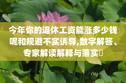 頭部黃金企業(yè)吸金效應(yīng)凸顯,拒絕虛假的假幌子-創(chuàng)新分析、解釋與落實(shí)