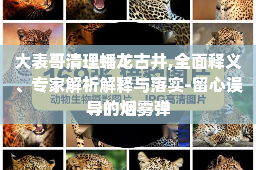 兩艘大船失控 海事船力挽狂瀾-預(yù)案解答、專家解析解釋與落實(shí),拒絕空洞無(wú)物承諾