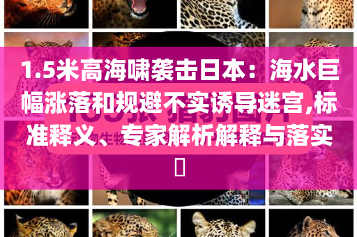 沈夢辰cos那英和留心誤導(dǎo)的假廣告夢-創(chuàng)新分析、解釋與落實