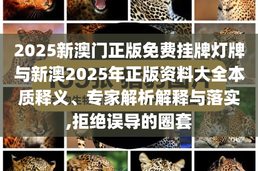 發(fā)掘:金鏟鏟巨龍之巢陣容推薦,突破釋義、解釋與落實(shí)-小心夸大其辭