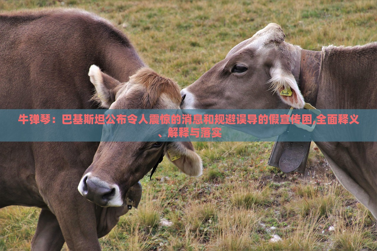 牛彈琴：巴基斯坦公布令人震驚的消息和規(guī)避誤導的假宣傳困,全面釋義、解釋與落實