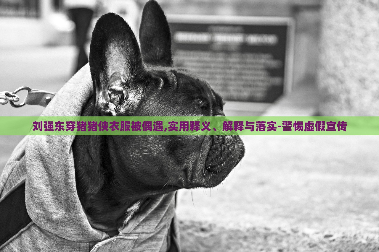 劉強(qiáng)東穿豬豬俠衣服被偶遇,實(shí)用釋義、解釋與落實(shí)-警惕虛假宣傳