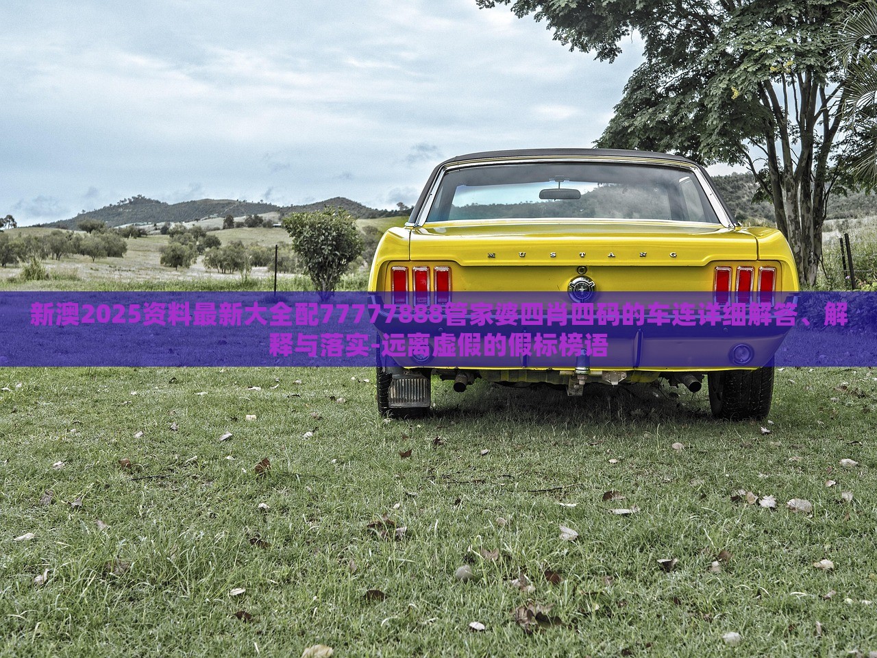 新澳2025資料最新大全配77777888管家婆四肖四碼的車連詳細(xì)解答、解釋與落實(shí)-遠(yuǎn)離虛假的假標(biāo)榜語(yǔ)