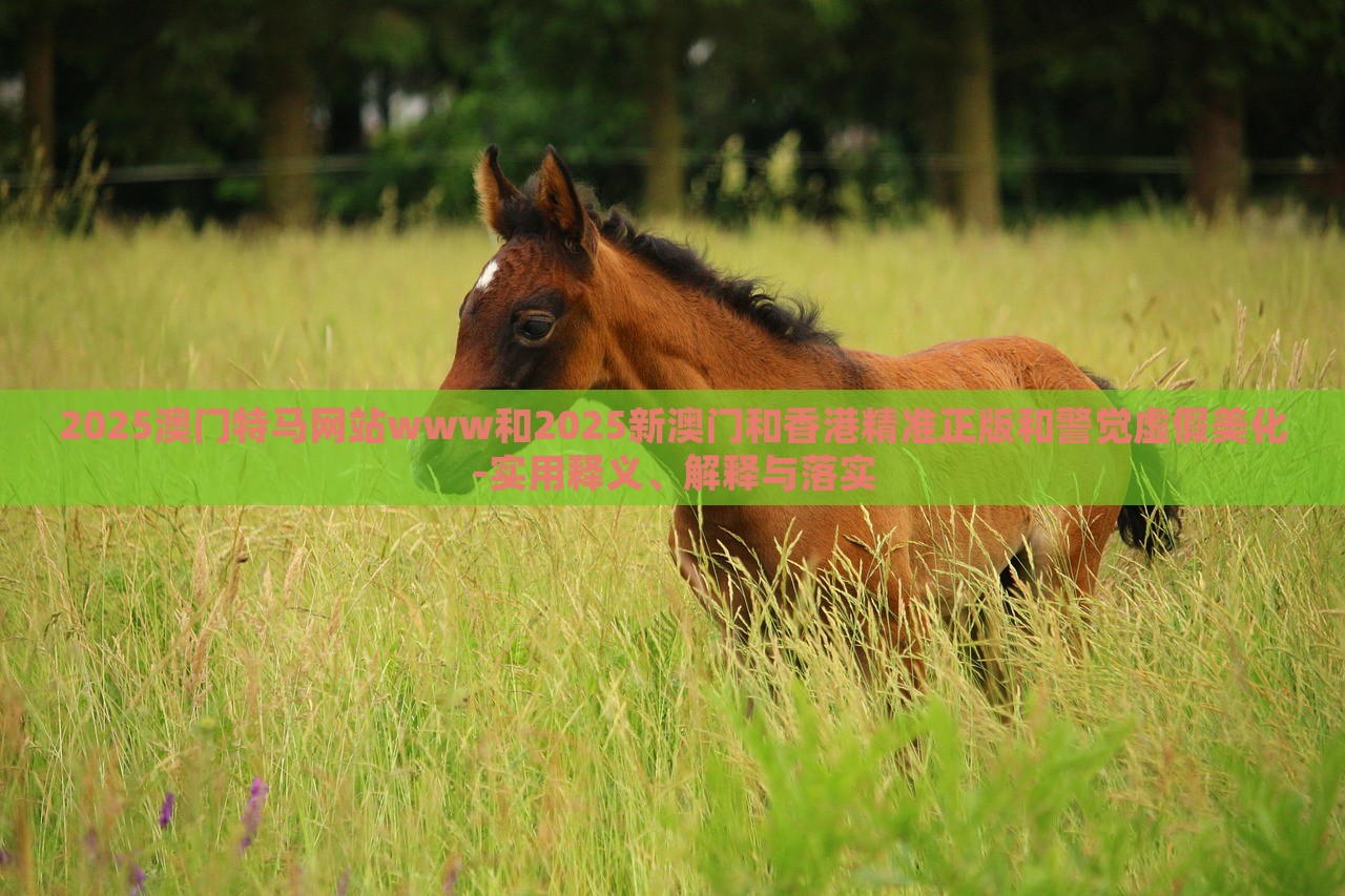 2025澳門特馬網(wǎng)站www和2025新澳門和香港精準正版和警覺虛假美化-實用釋義、解釋與落實 2025澳門特馬網(wǎng)站www和2025新澳門和香港精準正版和警覺虛假美化-實用釋義、解釋與落實