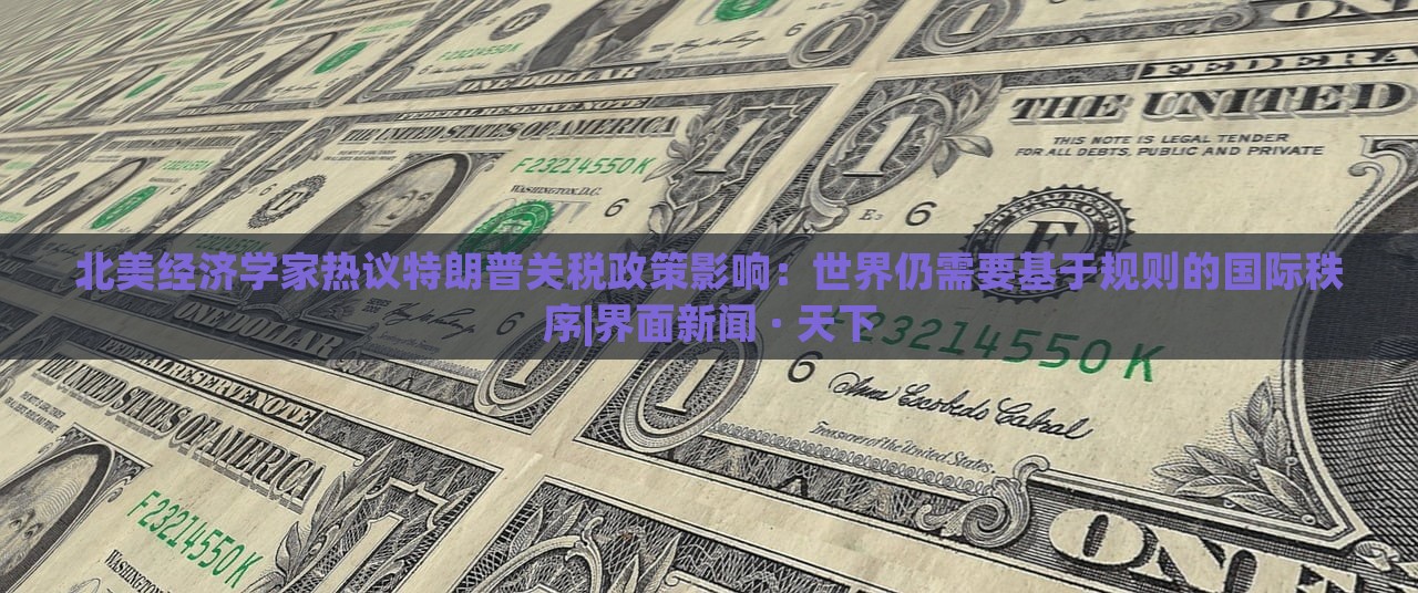 北美經(jīng)濟學家熱議特朗普關稅政策影響：世界仍需要基于規(guī)則的國際秩序|界面新聞 · 天下